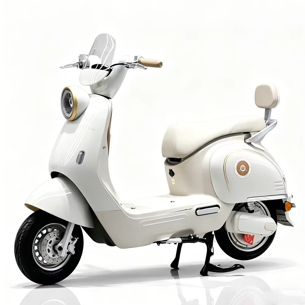 EER Adult electric motorcycle  - Brake Disc Motorcycle 评论和价格